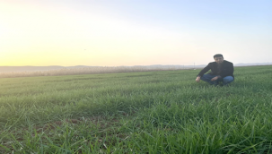 Urfa'da çiftçiler endişeli