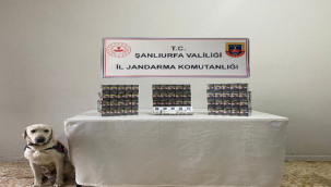 Urfa'da yol uygulamasında çok sayıda uyuşturucu ve kaçak sigara ele geçirdi