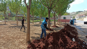 Eyyübiye'de Selden Etkilenen 24 Park Yenileniyor
