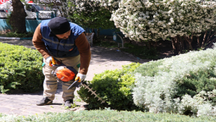 Haliliye Belediyesi, Parkları Yaza Hazırlıyor