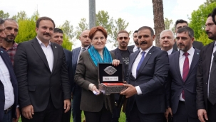 Meral Akşener. Urfa'da tarımsal sulamaya dikkat çekti 