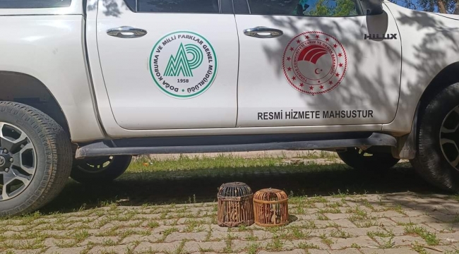 Şanlıurfa'da kaçak avcı suçüstü yakalandıŞanlıurfa'da kaçak avcı suçüstü yakalandı