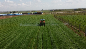 Şanlıurfa hem üretiyor hem kazanıyor!