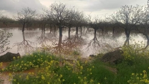 Urfa'da yine sel tehlikesi 
