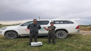 Ağa takılan Bıldırcın tedavi edildi