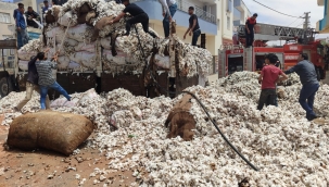 Akçakale'de pamuk yangını 