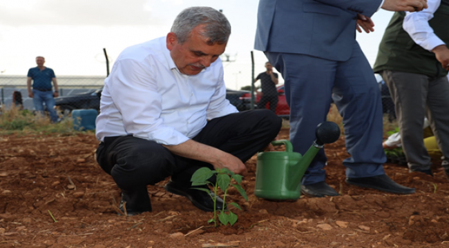  Başkan Beyazgül, ''Kentin Marka Değeri 1 Milyon İsot Fidesi Ürettik''
