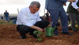  Başkan Beyazgül, ''Kentin Marka Değeri 1 Milyon İsot Fidesi Ürettik''