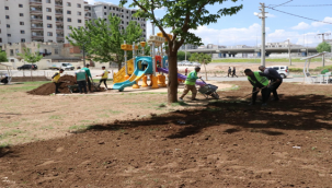 Haliliye Belediyesinden Ağaçlandırma Çalışması