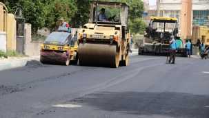 Haliliye'de Asfalt Atağı! Mahalle Muhtarından Başkan Canpolat'a Teşekkür