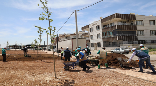 Haliliye'de Hummalı Çalışmalarla Parklar Güzelleşiyor
