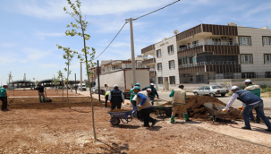 Haliliye'de Hummalı Çalışmalarla Parklar Güzelleşiyor