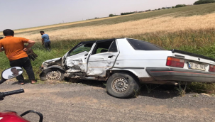 Harran'da iki araç çarpıştı!