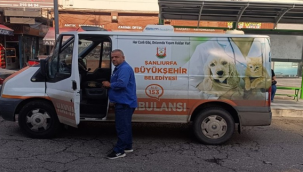 Şanlıurfa Belediyesinden Sokak hayvanlarına süper hizmet 
