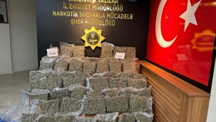 Şanlıurfa'da 53 kilo 750 gram skunk ele geçirildi!