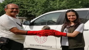 Şanlıurfa'da kulaklı orman Baykuşu tedavi altına alındı