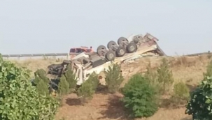 Şanlıurfa'da sebze yüklü tır devrildi 