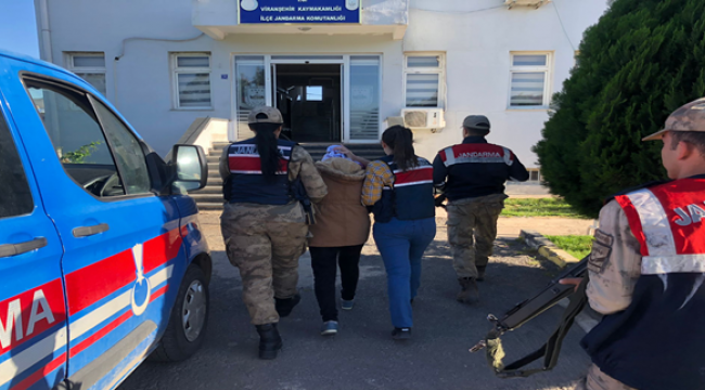 Şanlıurfa'da terör operasyonu, çok sayıda gözaltı