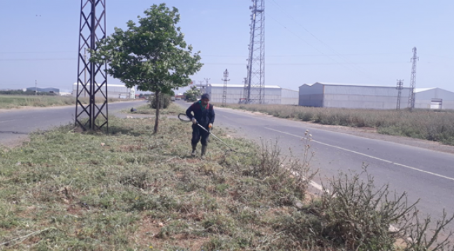Viranşehir Belediyesinden Yeşil Alanlarda Bakım, Onarım ve Yenileme Çalışmaları