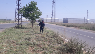 Viranşehir Belediyesinden Yeşil Alanlarda Bakım, Onarım ve Yenileme Çalışmaları