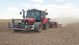 Buğday hasadı bitti, Mısır ekimine başlandı