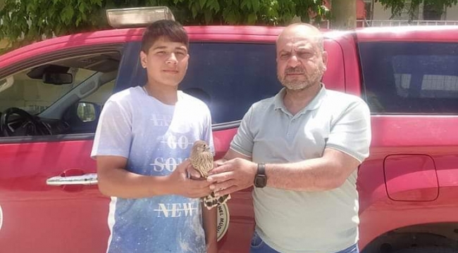 Kerkenez tedavi altına alındı