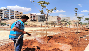 Kito Deresi'nde Çalışmalar Yeniden Başladı