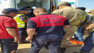 Şanlıurfa araç sulama kanalına düştü: İki kardeş öldü