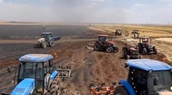 Şanlıurfa'da buğday tarlası kül oldu 