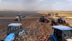 Şanlıurfa'da buğday tarlası kül oldu 