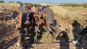 Şanlıurfa'da  traktör devrildi, 1 yaralı 