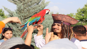 Uçurtma Şenliği Renkli Görüntülere Sahne Oldu