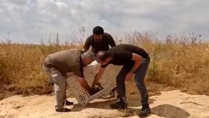 Urfa'da 300 tanesi bırakıldı!