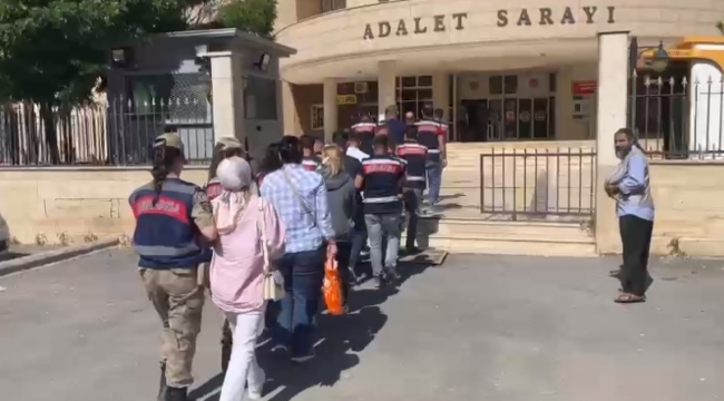 Urfa'da jandarmadan yeşil reçete operasyonu!