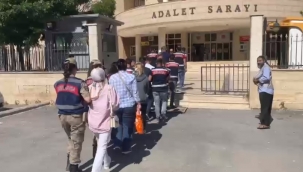 Urfa'da jandarmadan yeşil reçete operasyonu!