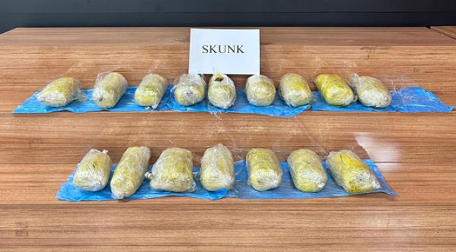 Urfa'da uyuşturucu operasyonu, 1 gözaltı