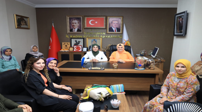 Vekil Yazmacı, Şanlıurfa'daki çalışmalarına yoğun tempoyla başladı