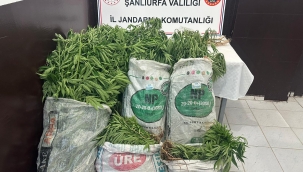 Viranşehir'de JASAT timi den büyük uyuşturucu operasyonu