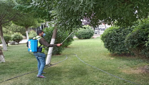 Viranşehir Genelindeki Parklarda İlaçlama Çalışması Sürüyor