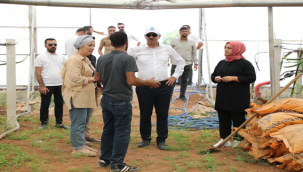 Eyyübiye sera kent hedefine ulaşıyor