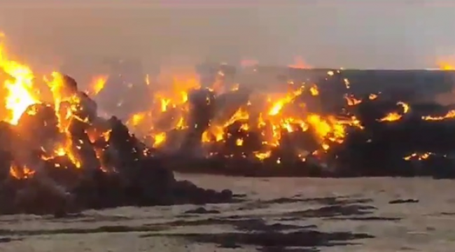 Şanlıurfa'da 6 bin ton saman yandı