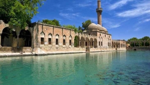 Şanlıurfa'da 6 kişi hayatını kaybetti!	