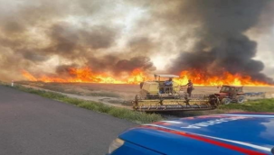 Şanlıurfa'da her yıl aynı manzara yaşanıyor!