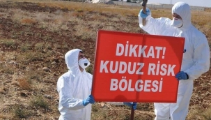 Şanlıurfa'da kuduz vakası görüldü