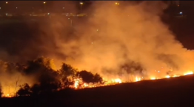 Şanlıurfa'da orman yangını!