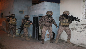 Şanlıurfa'da terör operasyonu: 1 gözaltı