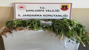 Şanlıurfa'da uyuşturucu operasyonu, 5 gözaltı