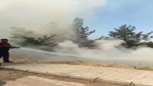 Şanlıurfa'daki Orman yangınında 1 tutuklama