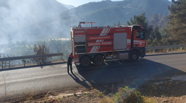 Şanlıurfa İtfaiyesinden Hatay'daki yangın müdahale