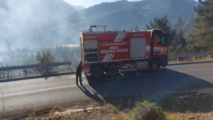Şanlıurfa İtfaiyesinden Hatay'daki yangın müdahale